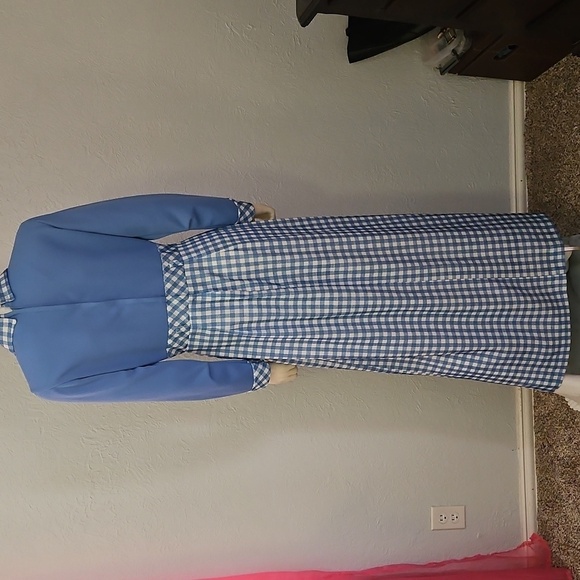 VTG JENNIFER GEE 1970s Baby Blue and White Gingham Long Sleeve Maxi Dress - Picture 7 of 11